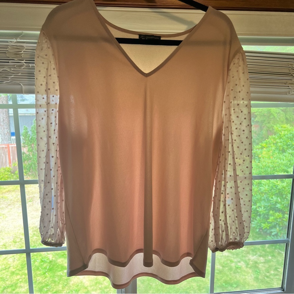 Adrianna Papell Blush Top with Sheer Polka Dot Sleeves